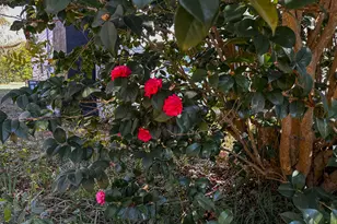 720 Wise Rd, White Plains, GA 31780 - Photo 32