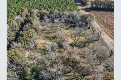 720 Wise Road, White Plains, GA 31780 - Photo 4