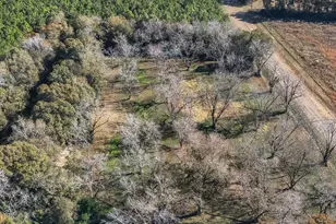 720 Wise Rd, White Plains, GA 31780 - Photo 4