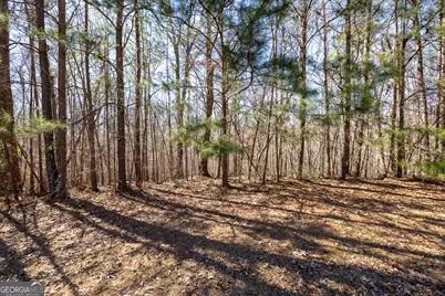 2126 Lacroix Way, Conyers, GA 30094 - Photo 50