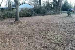 6 Derrick St, Hampton, GA 30228 - Photo 4