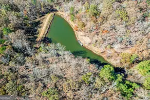 3354 Sandy Creek Rd, Madison, GA 30650 - Photo 40