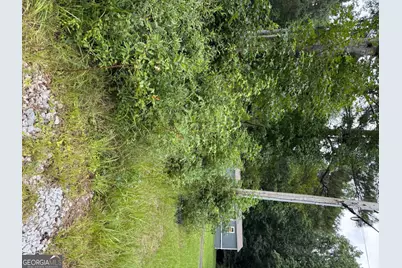 0 Maple Trail, Sharpsburg, GA 30277 - Photo 6