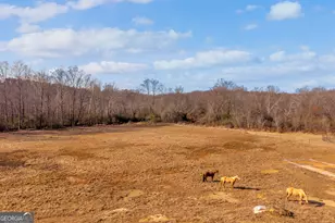 249 Hunters Creek Trail, Toccoa, GA 30577 - Photo 108