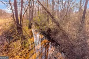 249 Hunters Creek Trail, Toccoa, GA 30577 - Photo 88