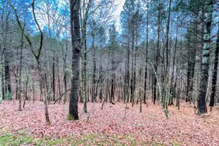 60 Mossy Oak Ct, Ellijay, GA 30540 - Photo 24