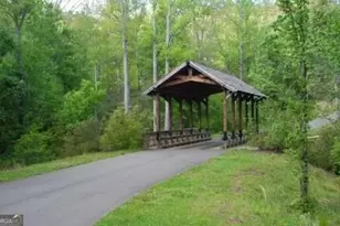 60 Mossy Oak Ct, Ellijay, GA 30540 - Photo 32