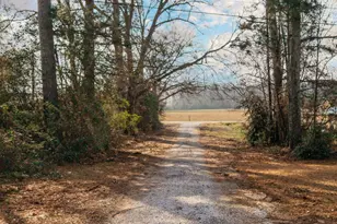 139 Pineview Rd, Jackson, GA 30233 - Photo 12