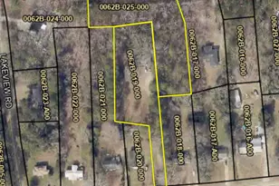 139 Pineview Rd, Jackson, GA 30233 - Photo 56