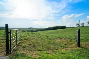 339 Cavender Ln, Bowdon, GA 30108 - Photo 14