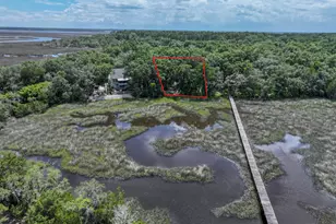 205 Salt Grass Trace, Saint Marys, GA 31558 - Photo 36