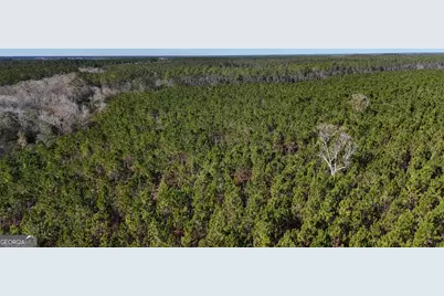 29 Ac Owens Road, Odum, GA 31555 - Photo 4