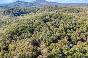 825 Sautee Woods Trail, Sautee, GA 30571 - Photo 52