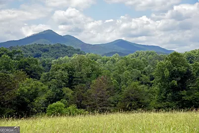 Tract11B Great Escape Place, Blairsville, GA 30512 - Photo 16