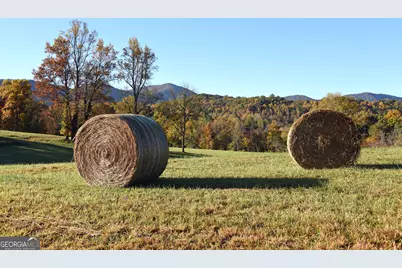 Tract11B Great Escape Place, Blairsville, GA 30512 - Photo 20