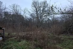 5548 Jacksonville Rd, Buchanan, GA 30113 - Photo 14