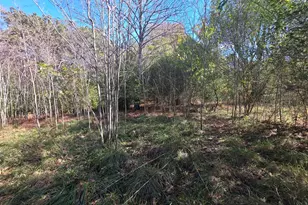 5548 Jacksonville Rd, Buchanan, GA 30113 - Photo 28