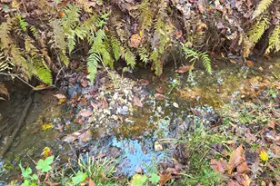 5548 Jacksonville Rd, Buchanan, GA 30113 - Photo 22