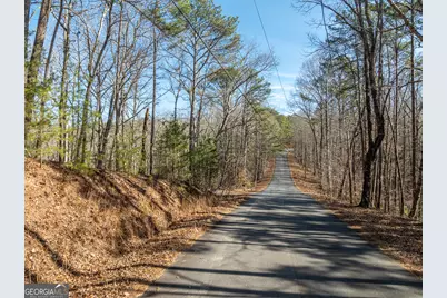 Lot 32R Woodring Branch Road, Ellijay, GA 30540 - Photo 34
