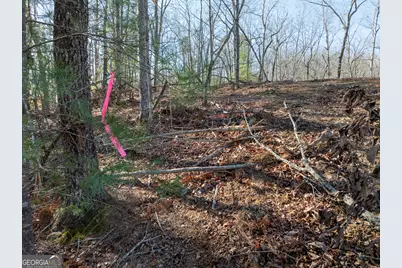 Lot 32R Woodring Branch Road, Ellijay, GA 30540 - Photo 12
