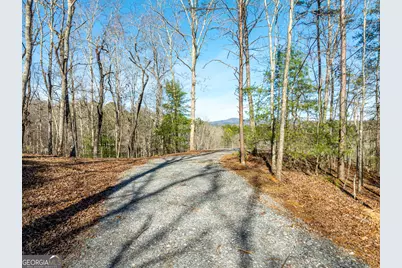 Lot 32R Woodring Branch Road, Ellijay, GA 30540 - Photo 8