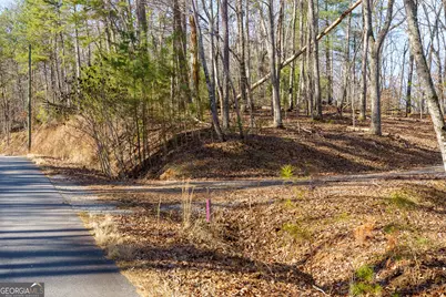 Lot 32R Woodring Branch Road, Ellijay, GA 30540 - Photo 36