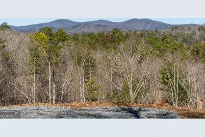 Lot 32R Woodring Branch Road, Ellijay, GA 30540 - Photo 1