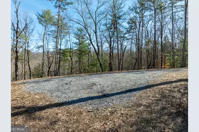 Lot 32R Woodring Branch Road, Ellijay, GA 30540 - Photo 10