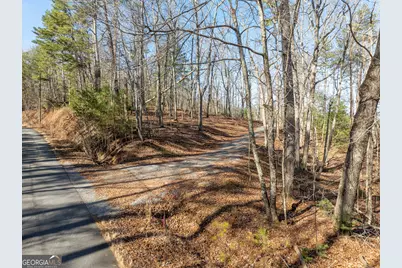 Lot 32R Woodring Branch Road, Ellijay, GA 30540 - Photo 18
