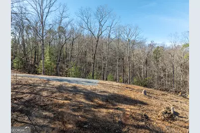 Lot 32R Woodring Branch Road, Ellijay, GA 30540 - Photo 6