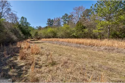 0 Kent Rock Road, Loganville, GA 30052 - Photo 22