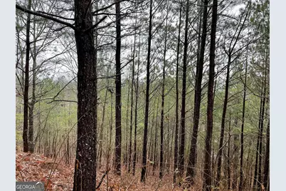 26 Sunset View, Blairsville, GA 30512 - Photo 16