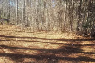 1385 Pebble Ridge Dr, Hampton, GA 30228 - Photo 1