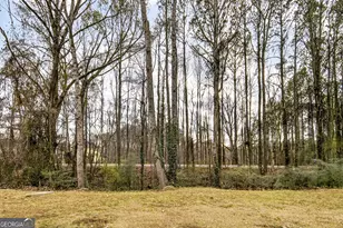 4420 Pink Rose Ct, Austell, GA 30106 - Photo 52