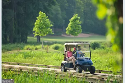 1020 Oak Valley Road, Greensboro, GA 30642 - Photo 54