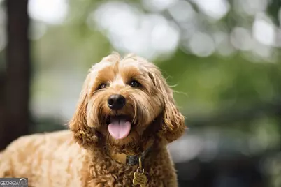 1020 Oak Valley Road, Greensboro, GA 30642 - Photo 58