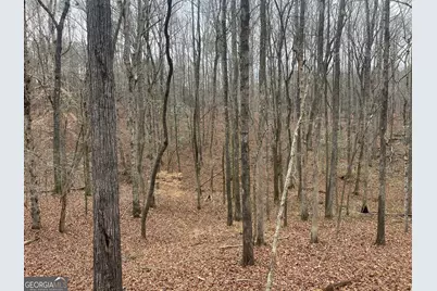 0 Whiteside Road, Chattahoochee Hills, GA 30268 - Photo 8