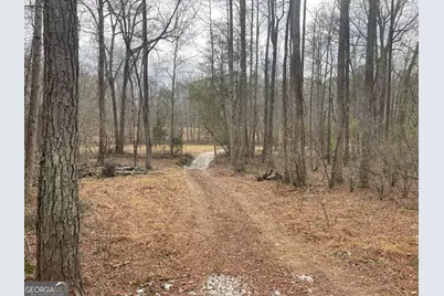 0 Whiteside Road, Chattahoochee Hills, GA 30268 - Photo 1