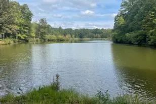 407 St Regis Dr, Oxford, GA 30054 - Photo 66