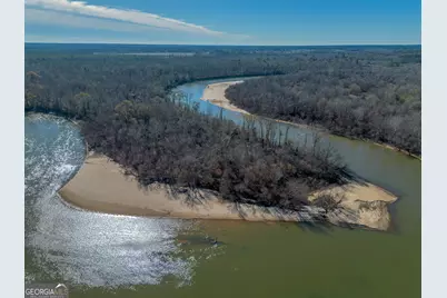 0 Oconee River, Bells Ferry Highway, Lumber City, GA 31549 - Photo 2
