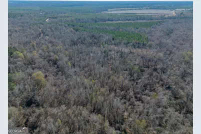 0 Oconee River, Bells Ferry Highway, Lumber City, GA 31549 - Photo 8