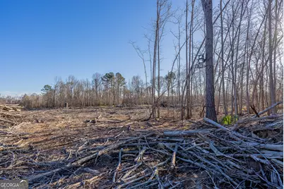 0 Oconee River, Bells Ferry Highway, Lumber City, GA 31549 - Photo 42