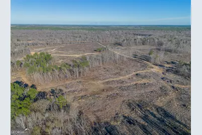 0 Oconee River, Bells Ferry Highway, Lumber City, GA 31549 - Photo 20