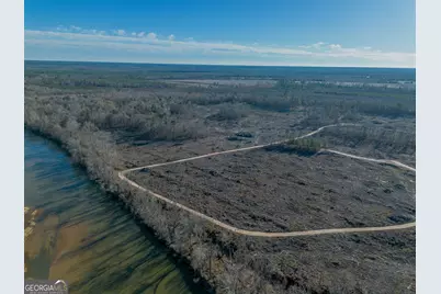 0 Oconee River, Bells Ferry Highway, Lumber City, GA 31549 - Photo 16