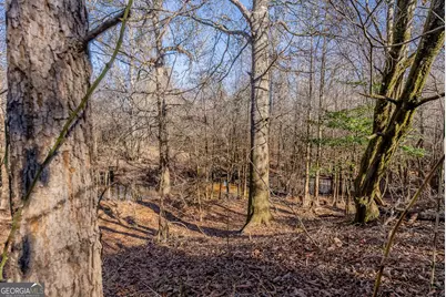 0 Oconee River, Bells Ferry Highway, Lumber City, GA 31549 - Photo 30