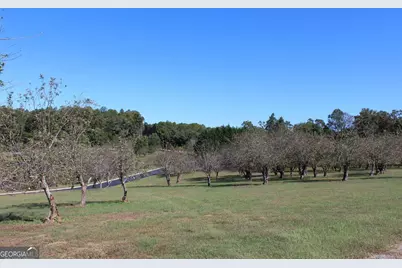 0 Orchard Hills Drive #LOT 33, Clarkesville, GA 30523 - Photo 6