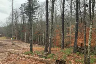 2055 Star Creek Rd, Morganton, GA 30560 - Photo 38