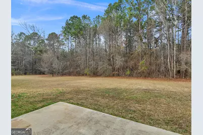 230 Millstone Drive, Hampton, GA 30228 - Photo 46