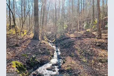 49 Old Stamp Mill Road, Dahlonega, GA 30533 - Photo 1