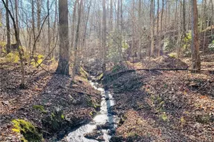 49 Old Stamp Mill Rd, Dahlonega, GA 30533 - Photo 1